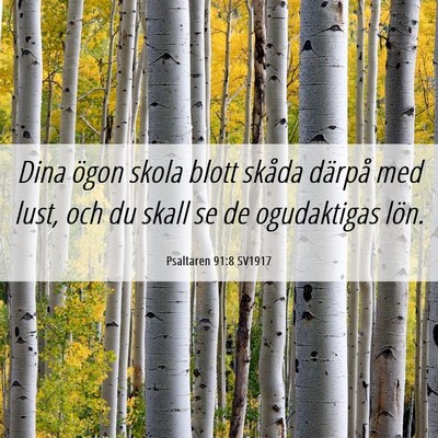 Picture 06 - Psaltaren 91:8 SV1917 - Dina ögon skola blott skåda därpå med lust, - Bible Verse Picture