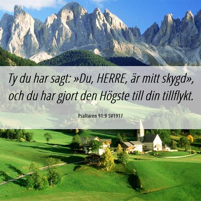 Picture 06 - Psaltaren 91:9 SV1917 - Ty du har sagt: »Du, HERRE, är mitt skygd», - Bible Verse Picture