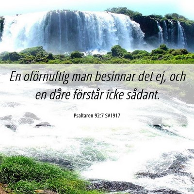 Picture 06 - Psaltaren 92:7 SV1917 - En oförnuftig man besinnar det ej, och en dåre - Bible Verse Picture