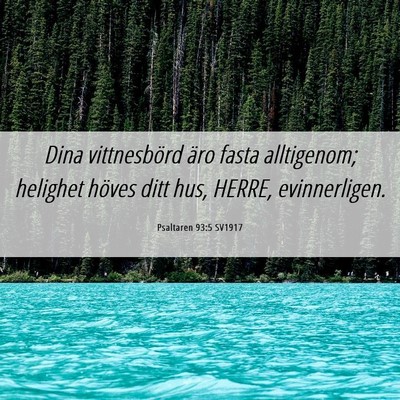 Picture 06 - Psaltaren 93:5 SV1917 - Dina vittnesbörd äro fasta alltigenom; helighet - Bible Verse Picture