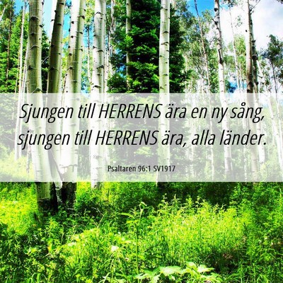 Picture 06 - Psaltaren 96:1 SV1917 - Sjungen till HERRENS ära en ny sång, sjungen - Bible Verse Picture