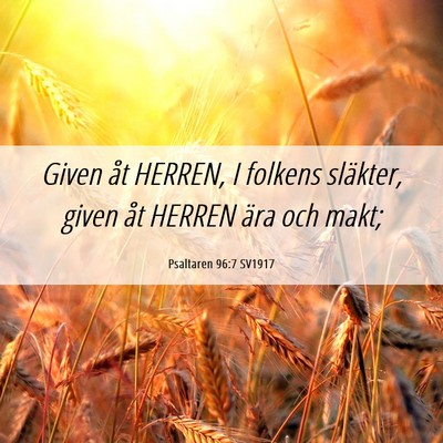 Picture 06 - Psaltaren 96:7 SV1917 - Given åt HERREN, I folkens släkter, given åt - Bible Verse Picture