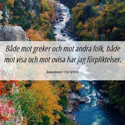 Picture 06 - Romarbrevet 1:14 SV1917 - Både mot greker och mot andra folk, både mot - Bible Verse Picture