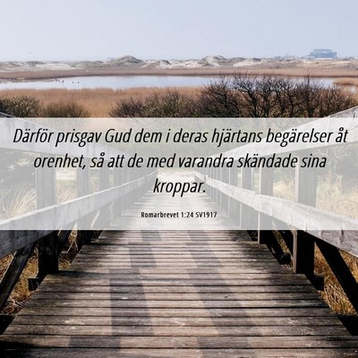 Picture 06 - Romarbrevet 1:24 SV1917 - Därför prisgav Gud dem i deras hjärtans - Bible Verse Picture
