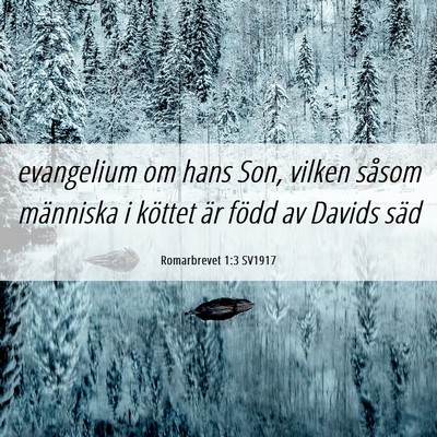 Picture 06 - Romarbrevet 1:3 SV1917 - evangelium om hans Son, vilken såsom människa i - Bible Verse Picture