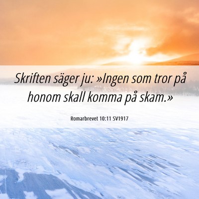 Picture 06 - Romarbrevet 10:11 SV1917 - Skriften säger ju: »Ingen som tror på honom - Bible Verse Picture