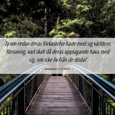 Picture 06 - Romarbrevet 11:15 SV1917 - Ty om redan deras förkastelse hade med sig - Bible Verse Picture