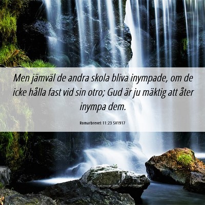 Picture 06 - Romarbrevet 11:23 SV1917 - Men jämväl de andra skola bliva inympade, om de - Bible Verse Picture