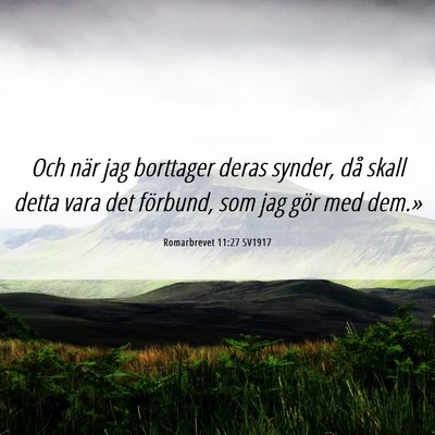 Picture 06 - Romarbrevet 11:27 SV1917 - Och när jag borttager deras synder, då skall - Bible Verse Picture
