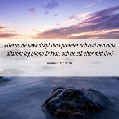 Picture 06 - Romarbrevet 11:3 SV1917 - »Herre, de hava dräpt dina profeter och rivit - Bible Verse Picture