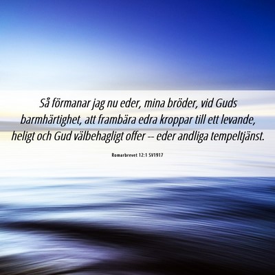 Picture 06 - Romarbrevet 12:1 SV1917 - Så förmanar jag nu eder, mina bröder, vid Guds - Bible Verse Picture