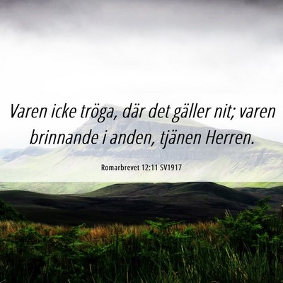 Picture 06 - Romarbrevet 12:11 SV1917 - Varen icke tröga, där det gäller nit; varen - Bible Verse Picture
