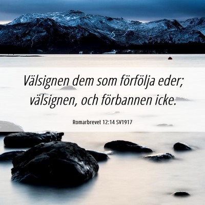 Picture 06 - Romarbrevet 12:14 SV1917 - Välsignen dem som förfölja eder; välsignen, - Bible Verse Picture