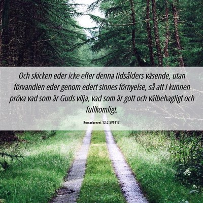 Picture 06 - Romarbrevet 12:2 SV1917 - Och skicken eder icke efter denna tidsålders - Bible Verse Picture