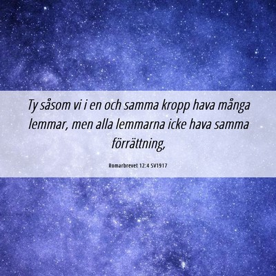 Picture 06 - Romarbrevet 12:4 SV1917 - Ty såsom vi i en och samma kropp hava många - Bible Verse Picture