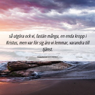 Picture 06 - Romarbrevet 12:5 SV1917 - så utgöra ock vi, fastän många, en enda kropp - Bible Verse Picture