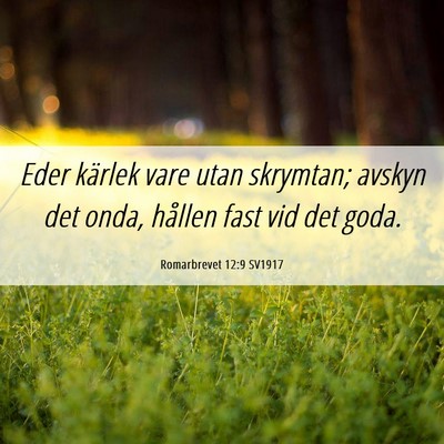 Picture 06 - Romarbrevet 12:9 SV1917 - Eder kärlek vare utan skrymtan; avskyn det onda, - Bible Verse Picture
