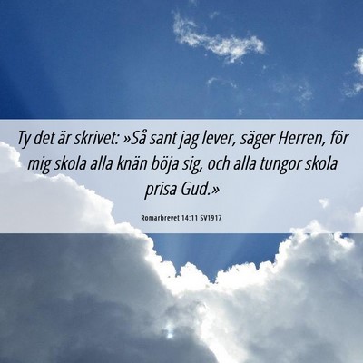 Picture 06 - Romarbrevet 14:11 SV1917 - Ty det är skrivet: »Så sant jag lever, säger - Bible Verse Picture