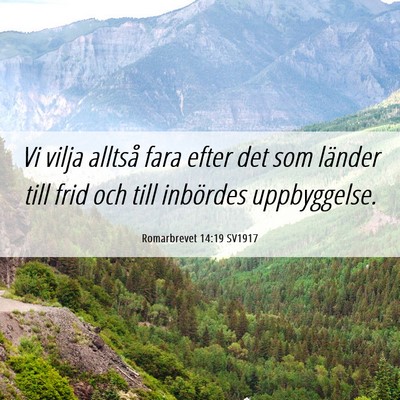Picture 06 - Romarbrevet 14:19 SV1917 - Vi vilja alltså fara efter det som länder till - Bible Verse Picture