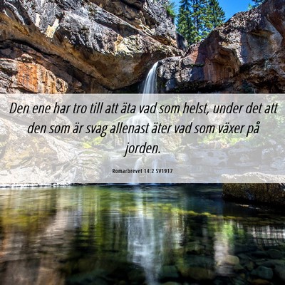 Picture 06 - Romarbrevet 14:2 SV1917 - Den ene har tro till att äta vad som helst, - Bible Verse Picture