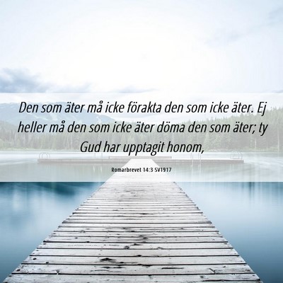 Picture 06 - Romarbrevet 14:3 SV1917 - Den som äter må icke förakta den som icke - Bible Verse Picture