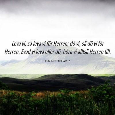 Picture 06 - Romarbrevet 14:8 SV1917 - Leva vi, så leva vi för Herren; dö vi, så dö - Bible Verse Picture