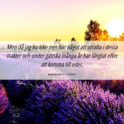 Picture 06 - Romarbrevet 15:23 SV1917 - Men då jag nu icke mer har något att uträtta i - Bible Verse Picture