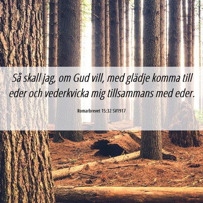 Picture 06 - Romarbrevet 15:32 SV1917 - Så skall jag, om Gud vill, med glädje komma - Bible Verse Picture