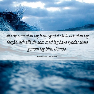 Picture 06 - Romarbrevet 2:12 SV1917 - alla de som utan lag hava syndat skola ock utan - Bible Verse Picture