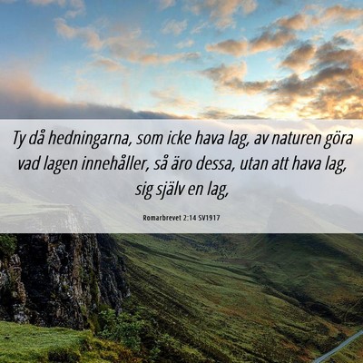 Picture 06 - Romarbrevet 2:14 SV1917 - Ty då hedningarna, som icke hava lag, av naturen - Bible Verse Picture