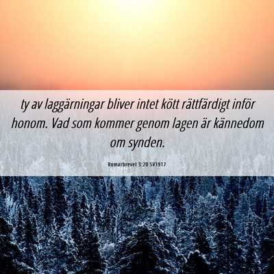 Picture 06 - Romarbrevet 3:20 SV1917 - ty av laggärningar bliver intet kött - Bible Verse Picture