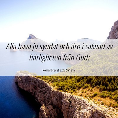 Picture 06 - Romarbrevet 3:23 SV1917 - Alla hava ju syndat och äro i saknad av - Bible Verse Picture