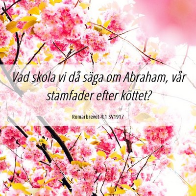 Picture 06 - Romarbrevet 4:1 SV1917 - Vad skola vi då säga om Abraham, vår stamfader - Bible Verse Picture
