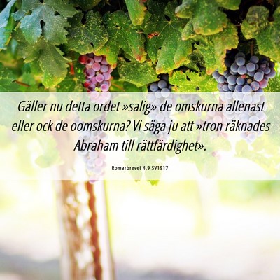 Picture 06 - Romarbrevet 4:9 SV1917 - Gäller nu detta ordet »salig» de omskurna - Bible Verse Picture