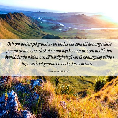 Picture 06 - Romarbrevet 5:17 SV1917 - Och om döden på grund av en endas fall kom till - Bible Verse Picture