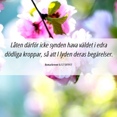 Picture 06 - Romarbrevet 6:12 SV1917 - Låten därför icke synden hava väldet i edra - Bible Verse Picture