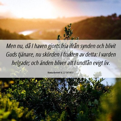 Picture 06 - Romarbrevet 6:22 SV1917 - Men nu, då I haven gjorts fria ifrån synden och - Bible Verse Picture