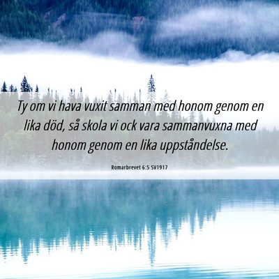 Picture 06 - Romarbrevet 6:5 SV1917 - Ty om vi hava vuxit samman med honom genom en - Bible Verse Picture