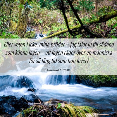 Picture 06 - Romarbrevet 7:1 SV1917 - Eller veten I icke, mina bröder -- jag talar ju - Bible Verse Picture