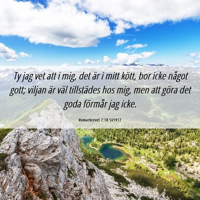 Picture 06 - Romarbrevet 7:18 SV1917 - Ty jag vet att i mig, det är i mitt kött, bor - Bible Verse Picture