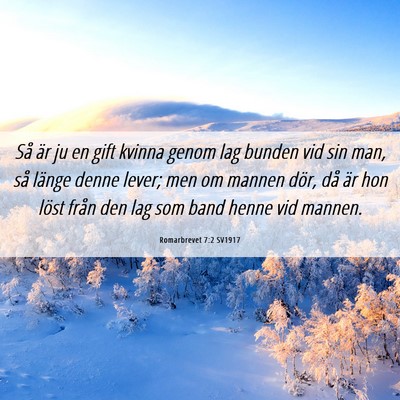 Picture 06 - Romarbrevet 7:2 SV1917 - Så är ju en gift kvinna genom lag bunden vid - Bible Verse Picture