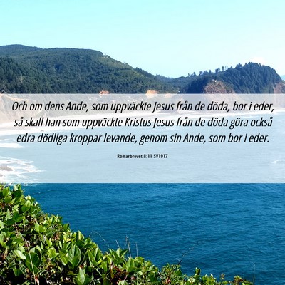 Picture 06 - Romarbrevet 8:11 SV1917 - Och om dens Ande, som uppväckte Jesus från de - Bible Verse Picture