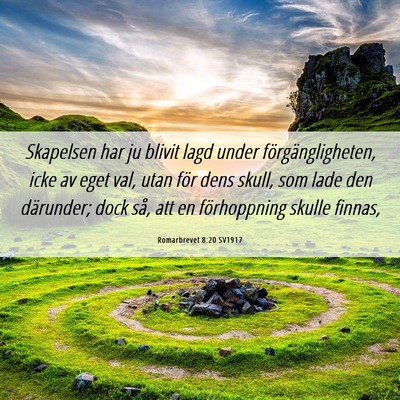 Picture 06 - Romarbrevet 8:20 SV1917 - Skapelsen har ju blivit lagd under - Bible Verse Picture