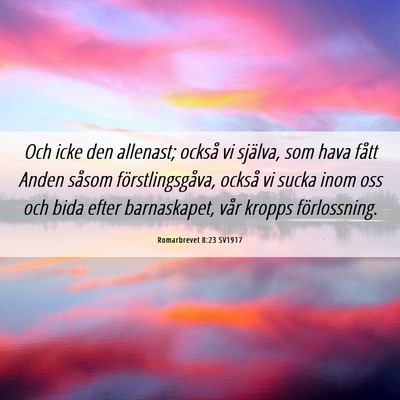 Picture 06 - Romarbrevet 8:23 SV1917 - Och icke den allenast; också vi själva, som - Bible Verse Picture