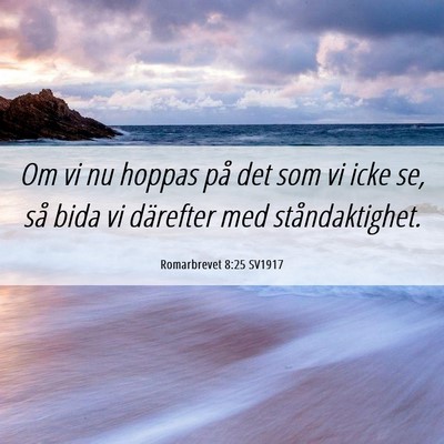 Picture 06 - Romarbrevet 8:25 SV1917 - Om vi nu hoppas på det som vi icke se, så bida - Bible Verse Picture