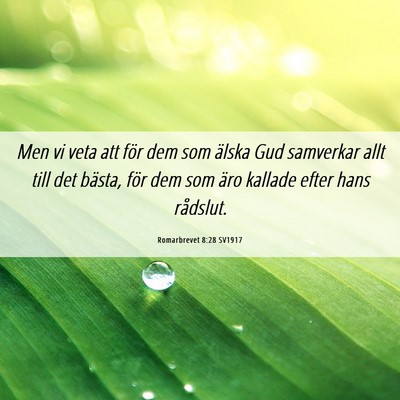 Picture 06 - Romarbrevet 8:28 SV1917 - Men vi veta att för dem som älska Gud samverkar - Bible Verse Picture