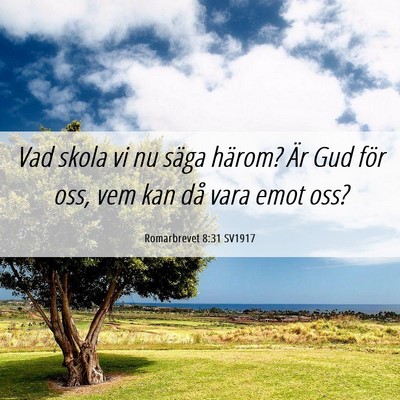 Picture 06 - Romarbrevet 8:31 SV1917 - Vad skola vi nu säga härom? Är Gud för oss, - Bible Verse Picture