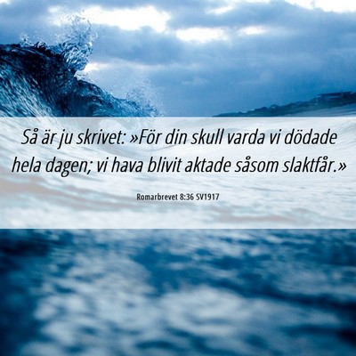 Picture 06 - Romarbrevet 8:36 SV1917 - Så är ju skrivet: »För din skull varda vi - Bible Verse Picture