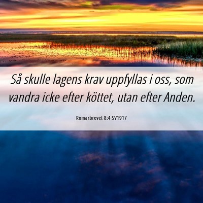 Picture 06 - Romarbrevet 8:4 SV1917 - Så skulle lagens krav uppfyllas i oss, som - Bible Verse Picture