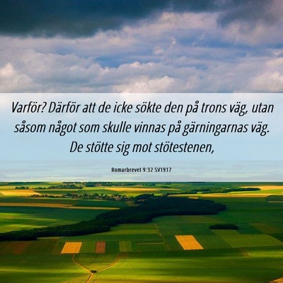 Picture 06 - Romarbrevet 9:32 SV1917 - Varför? Därför att de icke sökte den på - Bible Verse Picture